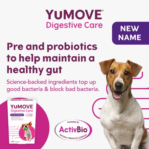 YuMOVE Digestive Support Pre & Probiotic for Dogs