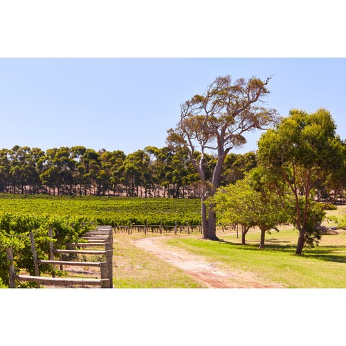 Robert Oatley Signature Series Chardonnay