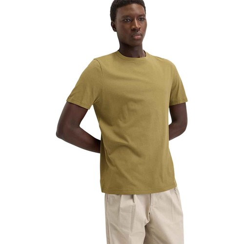 M&S Mens Regular Fit Pure Cotton Crew Neck T-Shirt, 'L 'Regular, Olive