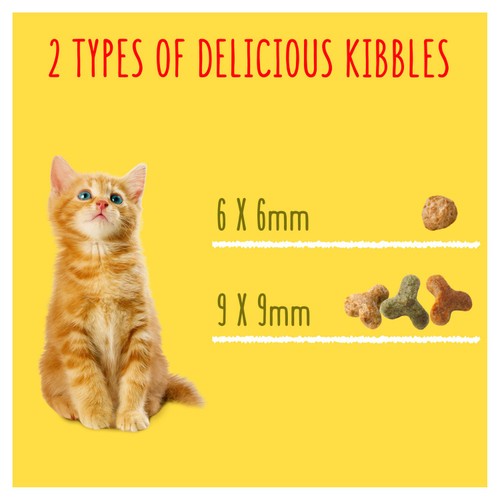 Go-Cat Kitten Chicken Turkey and Milk Dry Cat Food 