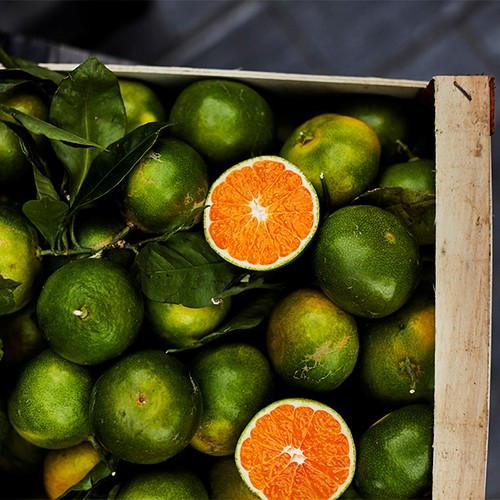 Natoora Italian Miyagawa Satsumas