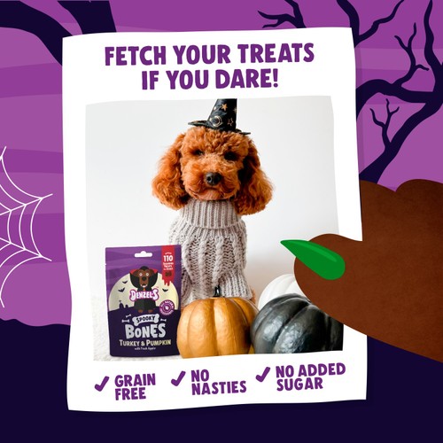 Denzel's Tomb of Treats Gift Box For Dogs