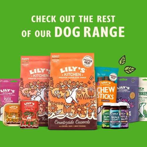 Lily's Kitchen Skin & Coat Supplement for Dogs