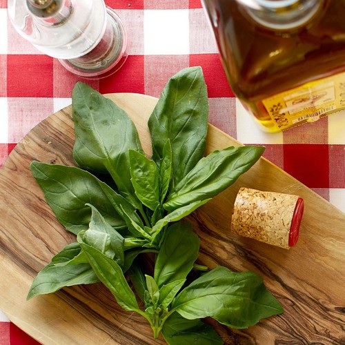 Ocado Basil