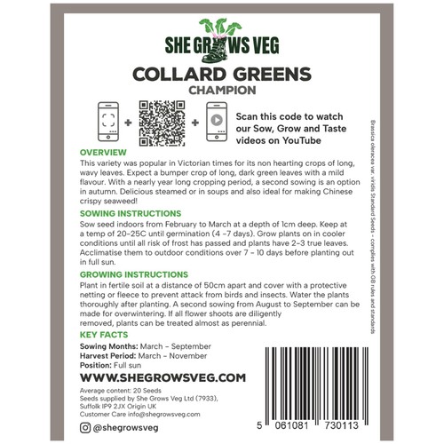 She Grows Veg  Collard Greens Champion Seeds