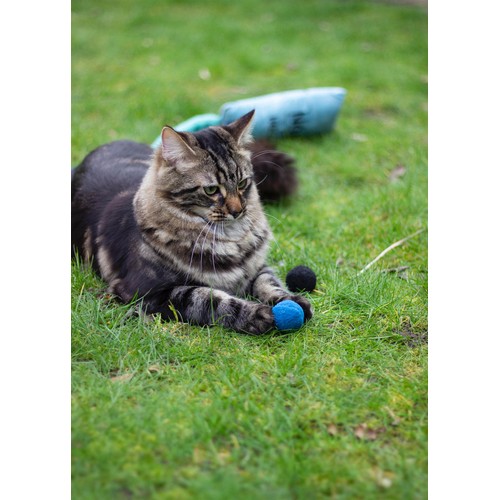 Battersea Pounce Cat Balls 