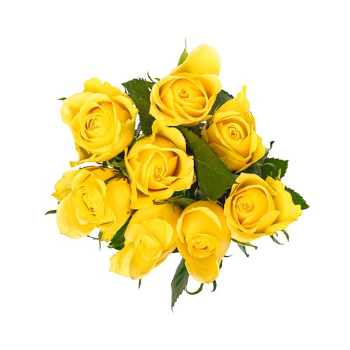 Yellow Roses