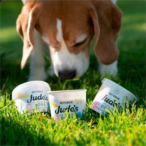 Jude's Ice Cream for Dogs
