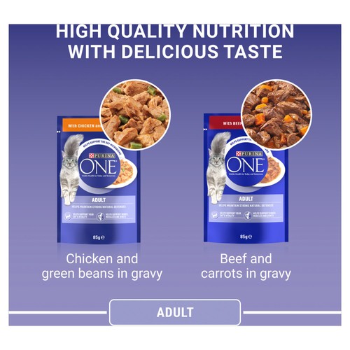 Purina One Mini Fillets Chicken & Beef Wet Cat Food