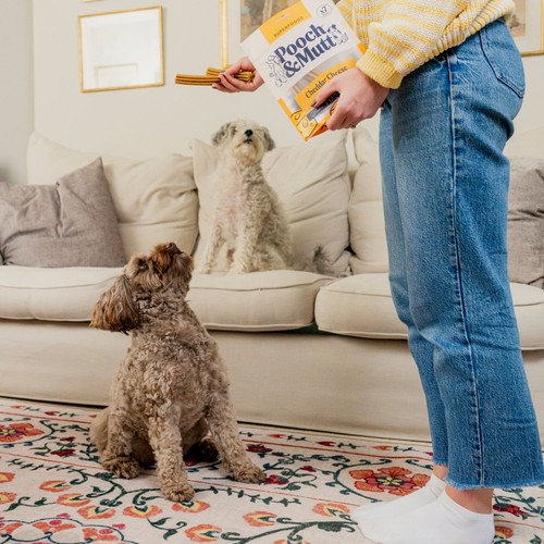 Pooch & Mutt Cheddar Cheese Dental Sticks