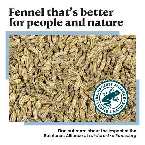 Bart Fennel Seed