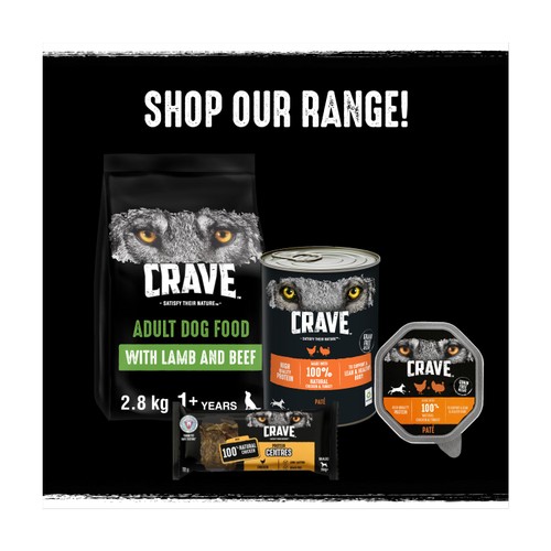 Crave Adult Wet Dog Food Can with Chicken & Turkey in Loaf