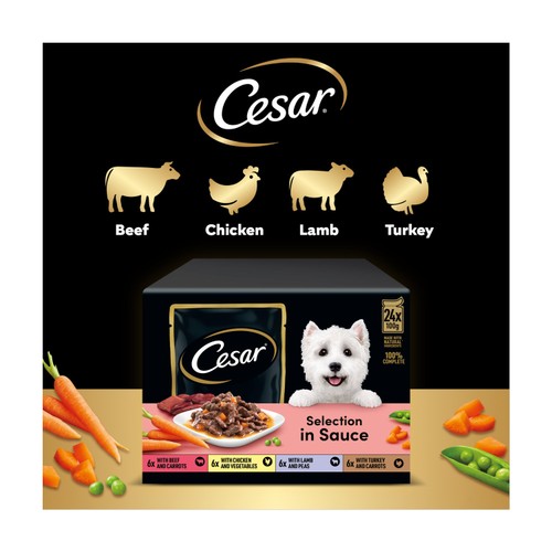 Cesar Deliciously Fresh Dog Food Pouches Favourites in Sauce