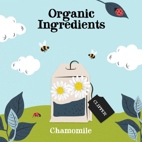 Clipper Organic Sleep Easy Infusion Tea Bags