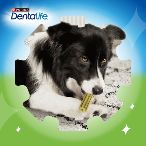 Dentalife ActivFresh Large Dental Chicken Dog Chews 
