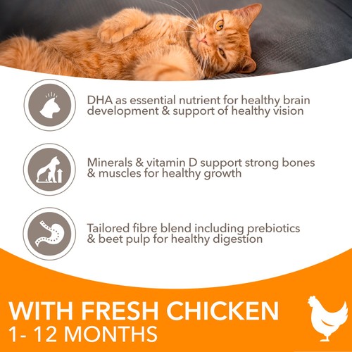 IAMS Advanced Nutrition Kitten Food Fresh Chicken