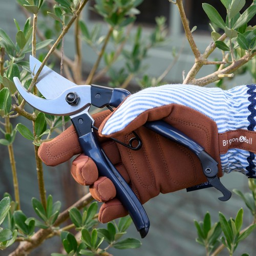 Burgon & Ball Collectors Navy Bypass Secateurs