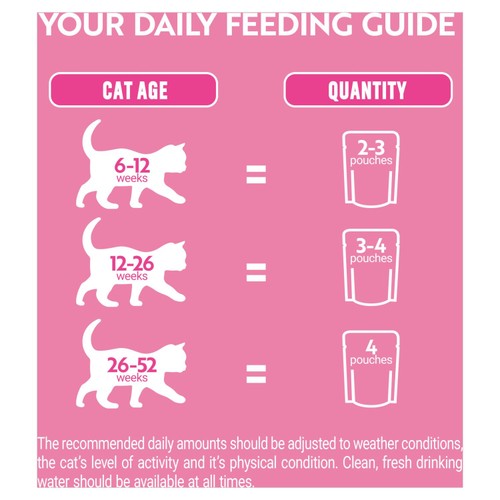 PURINA ONE Kitten Mini Fillets Salmon and Chicken Wet Cat Food
