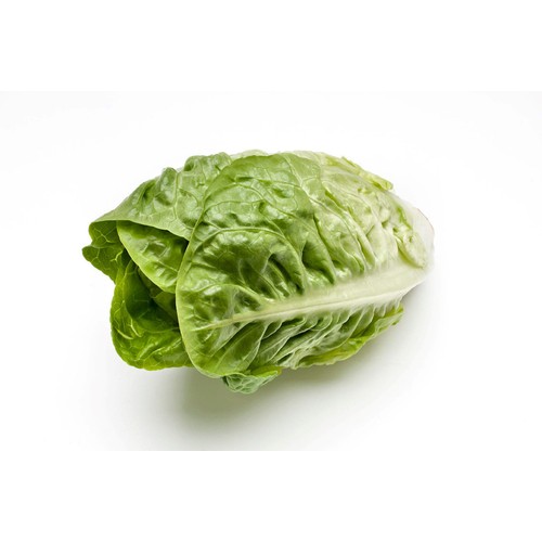M&S Little Gem Lettuce