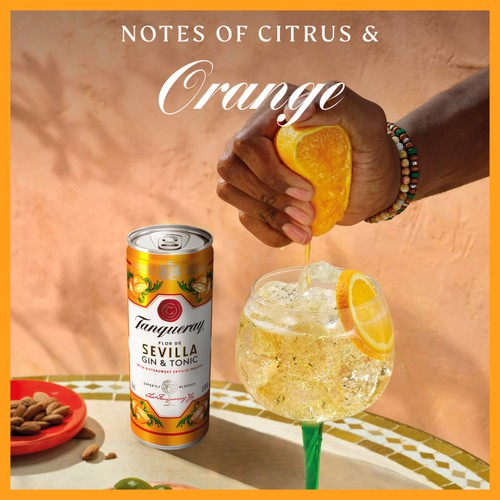 Tanqueray Flor De Sevilla Gin & Tonic Ready to Drink Can