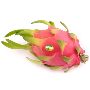 OrchardWorld Dragon Fruit