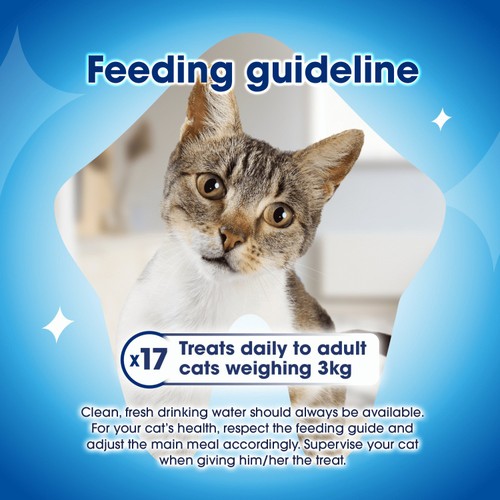 Dentalife Dental Salmon Cat Treats