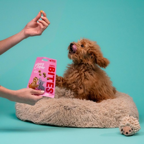 Edgard & Cooper Fresh Dog Small Bites Puppy Grain Free Duck & Chicken