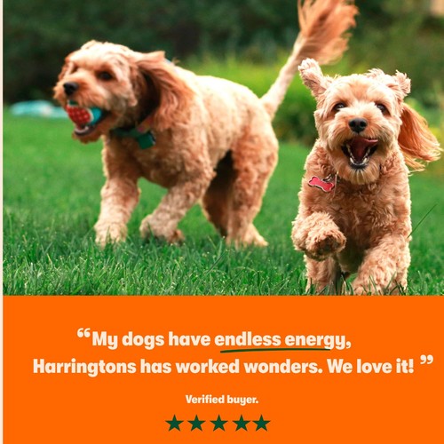 Harringtons Grain Free Superfoods Chicken Dry Dog Food