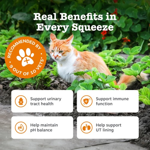 Zesty Paws Urinary Care Paste For Cats Paste