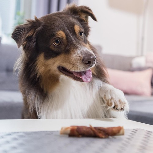 SmartBones 5 Chicken Wrapped Rawhide Free Sticks Dog Treats