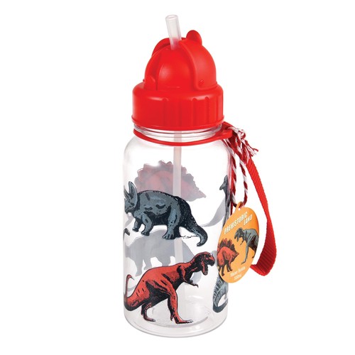 Rex London Prehistoric Land Water Bottle with Straw 500ml