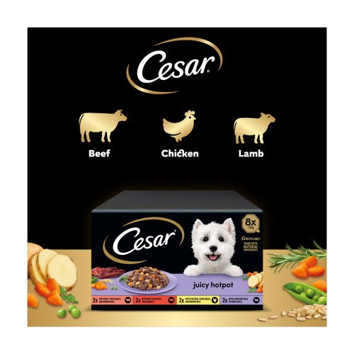 Cesar Juicy Hotpot Adult Wet Dog Food Trays Mixed in Gravy 