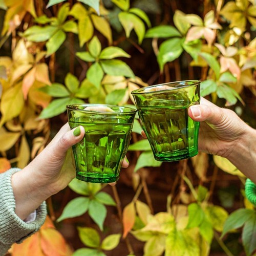 Duralex Picardie Jungle Green Tumbler Set 250ml