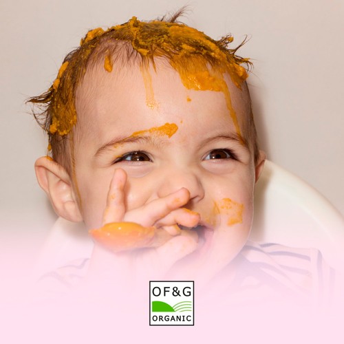 Little Freddie Organic Salmon Pie Baby Food Pouch 7+ Months