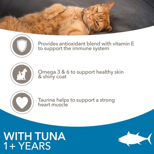 IAMS Advanced Nutrition Adult Dry Cat Food Tuna