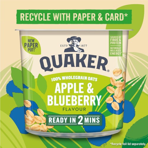 Quaker Oat So Simple Apple & Blueberry Porridge Cereal Pot