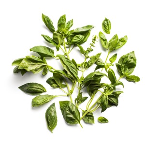 Daylesford Organic Basil