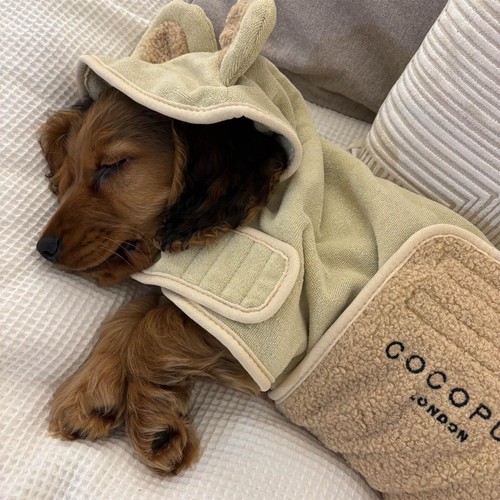 Cocopup Teddy Drying Robe - Small