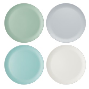 Colourworks Classics Picnic Dinner Plates
