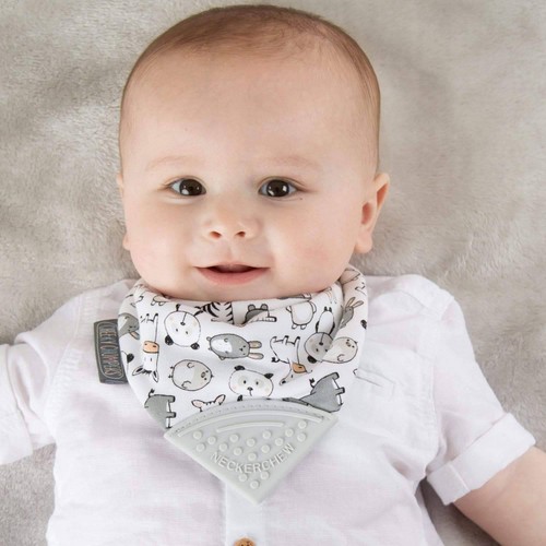 Cheeky Chompers Neckerchew Panda Pals