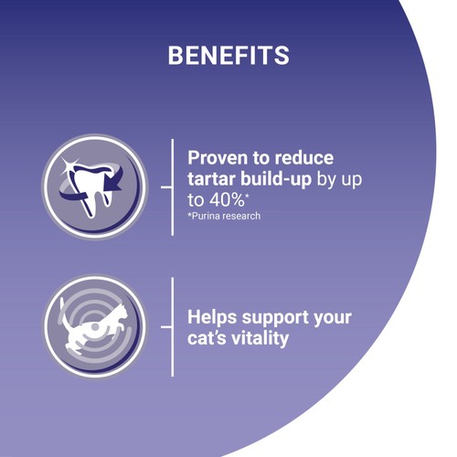 Purina One Chicken Dry Cat Food