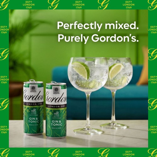 Gordon's Gin & Tonic