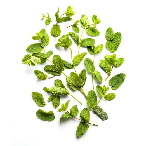 Daylesford Organic Mint