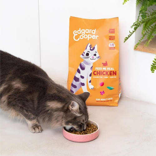 Edgard & Cooper Cat Dry Food Adult Chicken