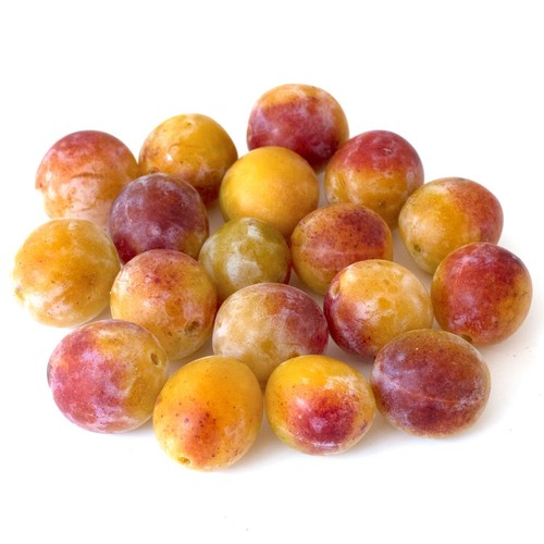 Natoora French Sweet Mirabelle Plums