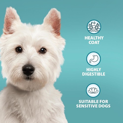 Burns Sensitive Adult/Senior Duck & Brown Rice Dry Dog Food