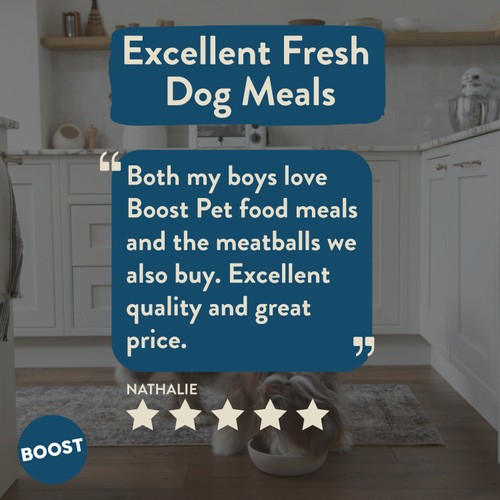 Boost Pet Chicken with Superfoods Meal for Dogs