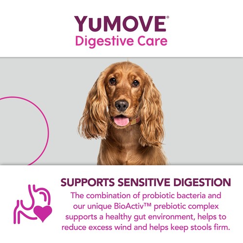 YuMOVE Dog Digestive Health Probiotics Supplement