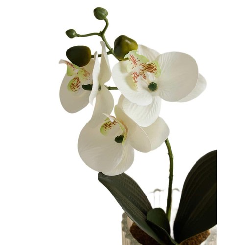 M&S Artificial Small Orchid in Glass Pot, White