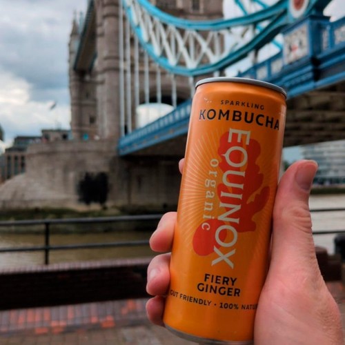 Equinox Organic Fiery Ginger Kombucha